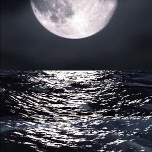 Meet your Posher, Lourdes